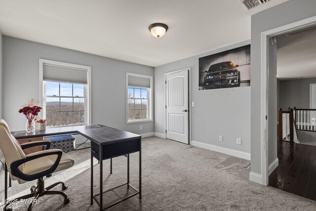 office featuring carpet flooring