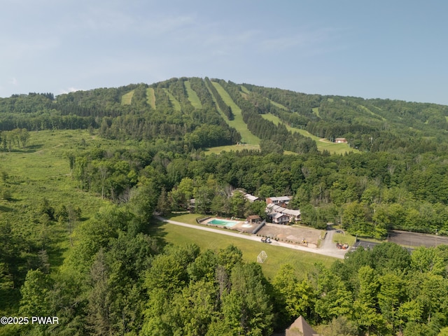 162 Fall Ln, Union Dale, PA 18470 - photo 7
