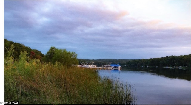 property view of water with a wooded view and a dock