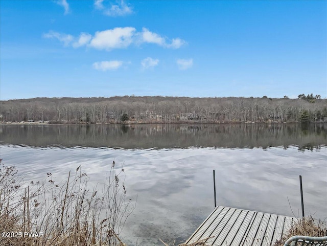 dock area with a water view