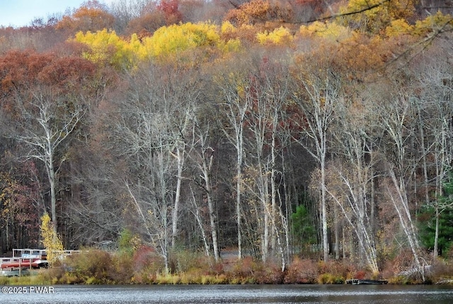 view of landscape featuring a wooded view and a water view