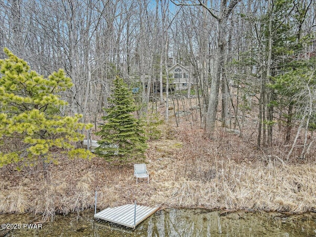 view of local wilderness