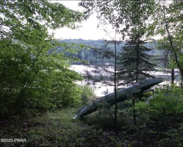 view of water feature featuring a view of trees