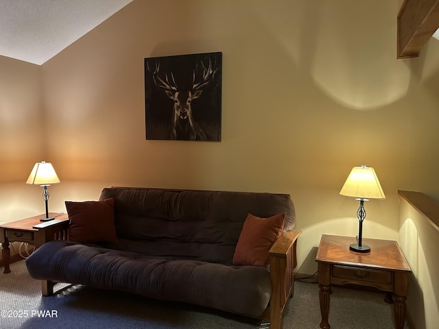 1024 Pitt Rd, Newfoundland, PA 18445 - carpeted living area featuring lofted ceiling