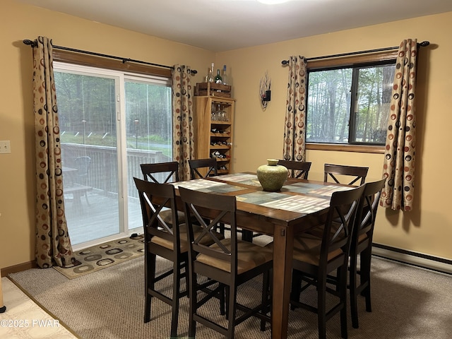 1024 Pitt Rd, Newfoundland, PA 18445 - dining area featuring healthy amount of natural light and a baseboard heating unit