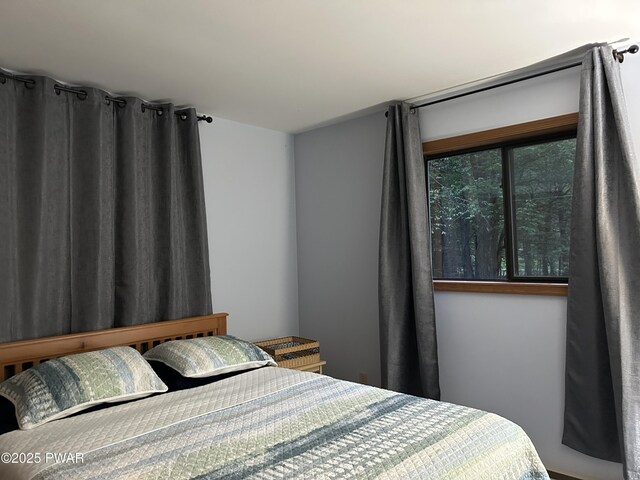 1024 Pitt Rd, Newfoundland, PA 18445 - view of bedroom