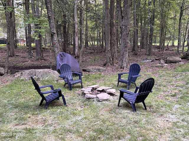 1024 Pitt Rd, Newfoundland, PA 18445 - view of yard featuring an outdoor fire pit
