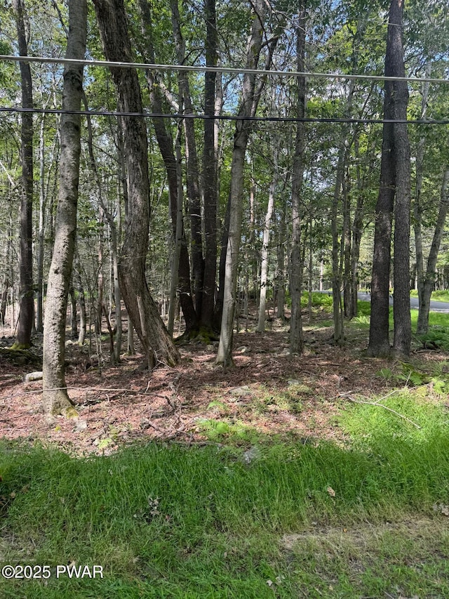 Listing photo 2 for 1 Beaver Run Rd, Newfoundland PA 18445