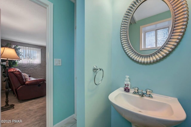 1528 Mount Cobb Rd, Jefferson Township, PA 18436 - bathroom with a sink and baseboards