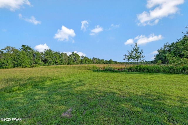 1528 Mount Cobb Rd, Jefferson Township, PA 18436 - view of yard with a view of rural / pastoral area