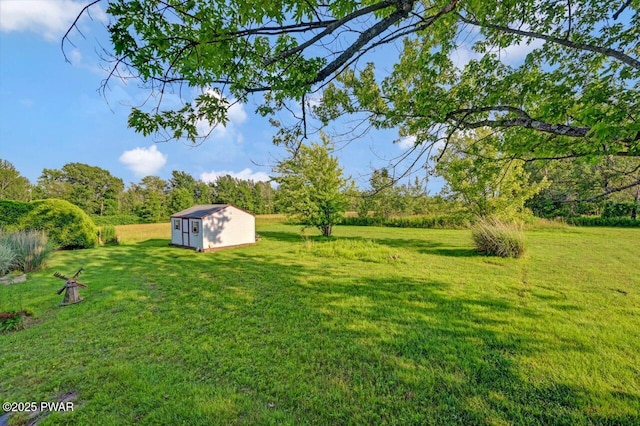 1528 Mount Cobb Rd, Jefferson Township, PA 18436 - view of green lawn featuring a storage unit
