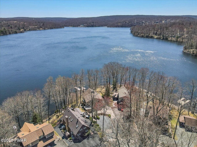bird's eye view with a water view and a wooded view