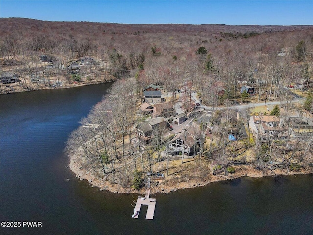 bird's eye view with a view of trees and a water view