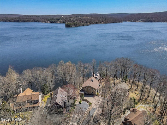 birds eye view of property with a water view and a wooded view