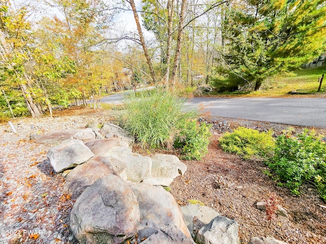 6 Greenview Ct, Lake Ariel, PA 18436 - photo 4
