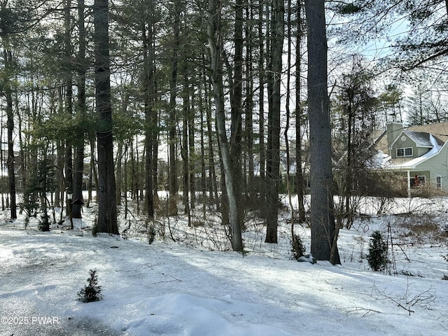 view of yard covered in snow