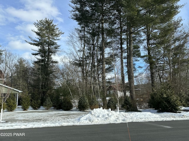 view of yard layered in snow