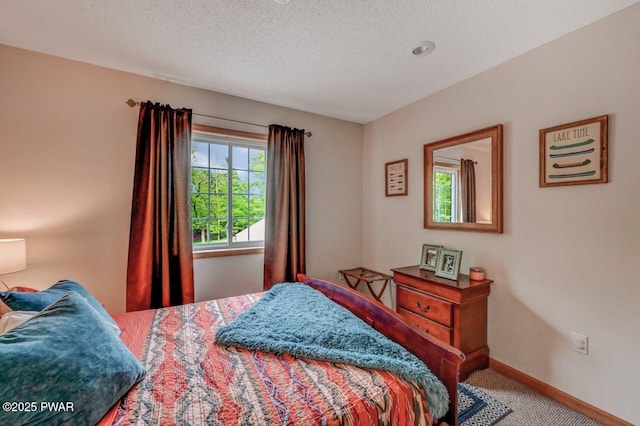 1007 Apache Ct, Lake Ariel, PA 18436 - bedroom with carpet, baseboards, and a textured ceiling