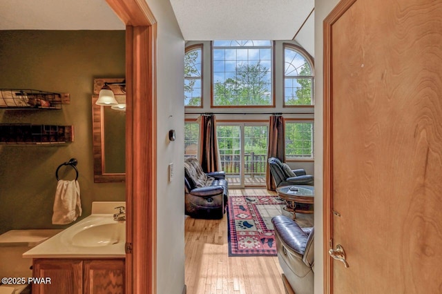 1007 Apache Ct, Lake Ariel, PA 18436 - office with a sink and light wood-style floors
