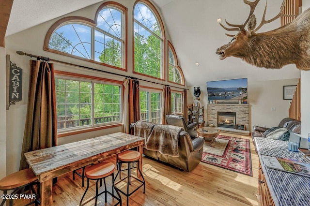 1007 Apache Ct, Lake Ariel, PA 18436 - living area featuring high vaulted ceiling, light wood-type flooring, healthy amount of natural light, and a fireplace
