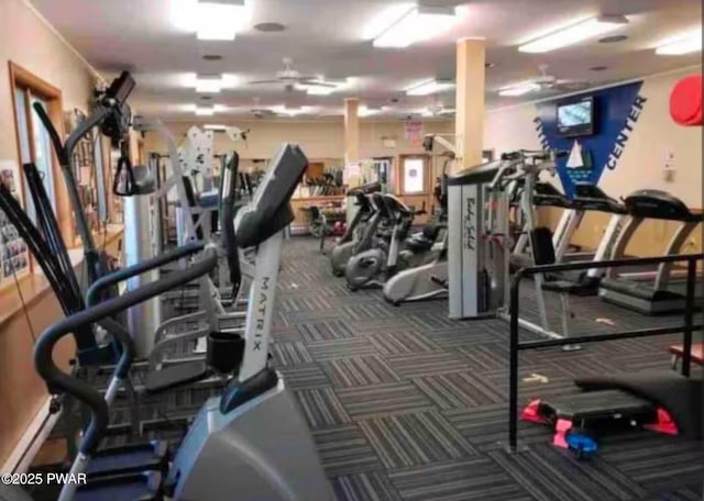 1007 Apache Ct, Lake Ariel, PA 18436 - view of gym