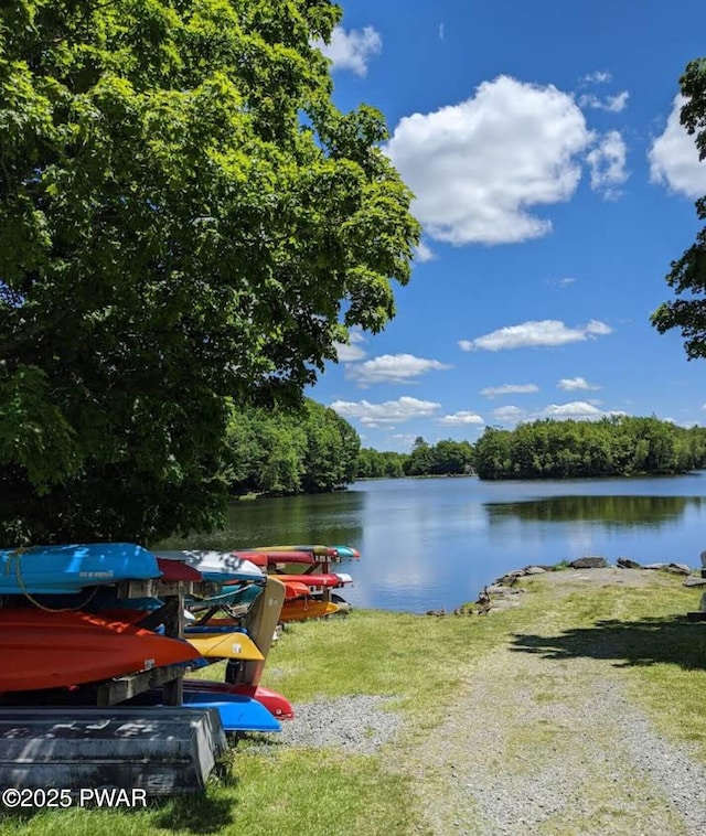 1007 Apache Ct, Lake Ariel, PA 18436 - water view with a dock and a forest