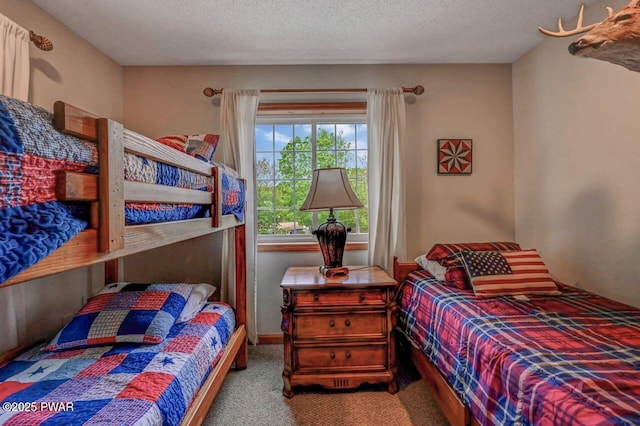 1007 Apache Ct, Lake Ariel, PA 18436 - bedroom featuring carpet floors and a textured ceiling