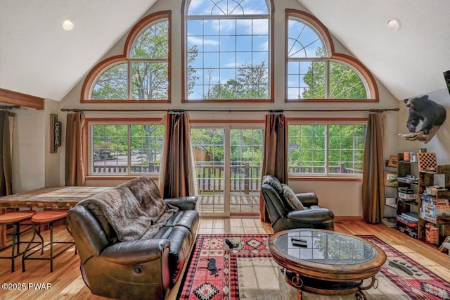 1007 Apache Ct, Lake Ariel, PA 18436 - living area with high vaulted ceiling and wood finished floors