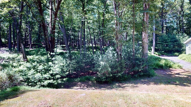 103 Windwards Ln, Dingmans Ferry, PA 18328 - view of yard