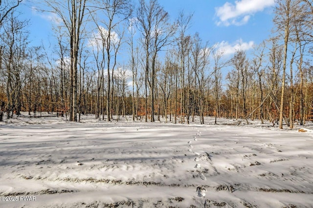 view of snowy yard