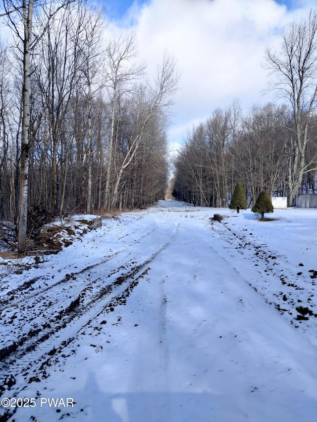 view of yard layered in snow