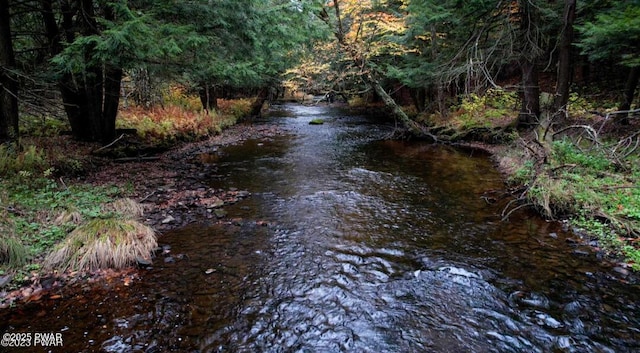 view of local wilderness