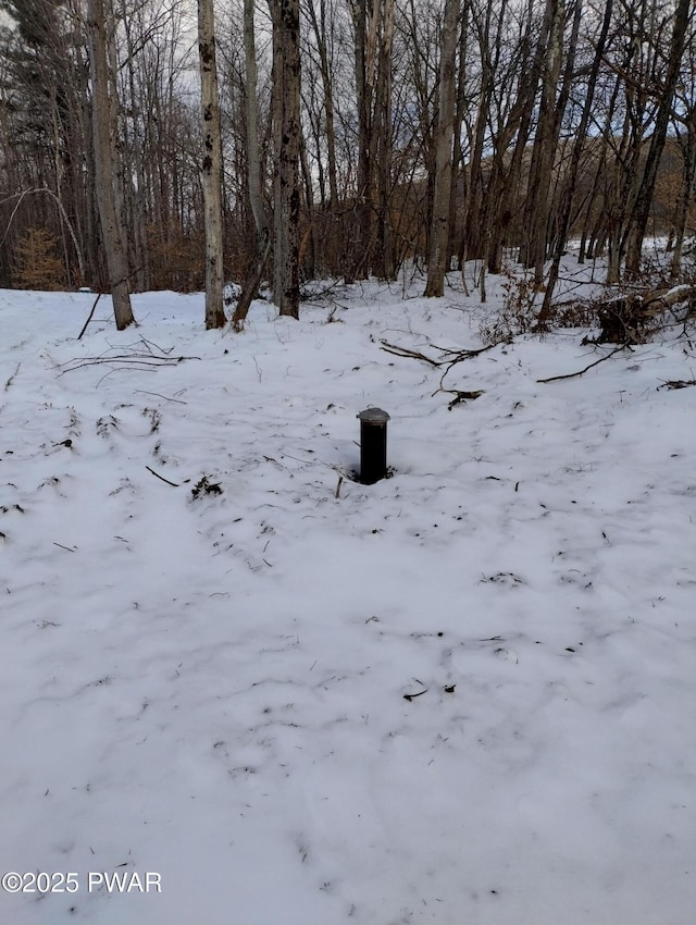 view of yard layered in snow