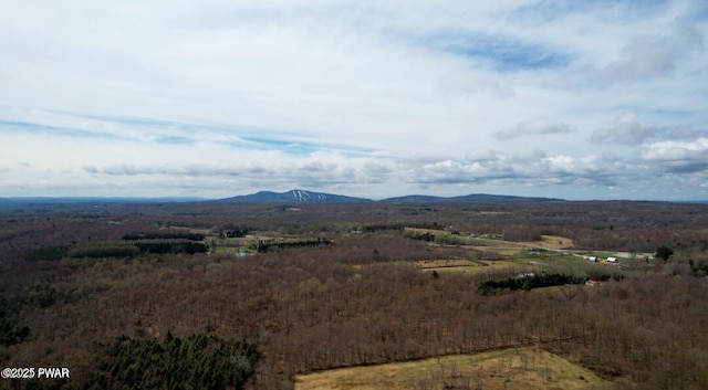 view of mountain feature