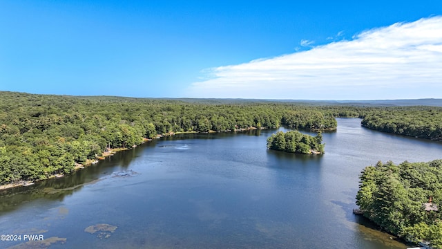 161 Lakeview Dr, Dingmans Ferry, PA 18328 - water view