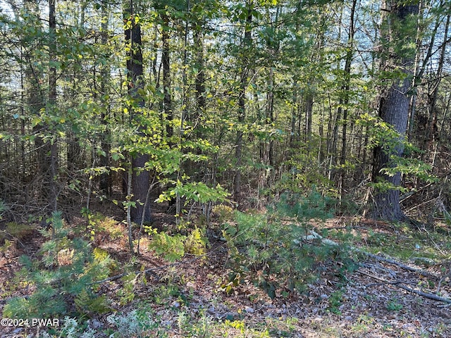 LOT5 Delaware Crst, Dingmans Ferry PA, 18328 land for sale