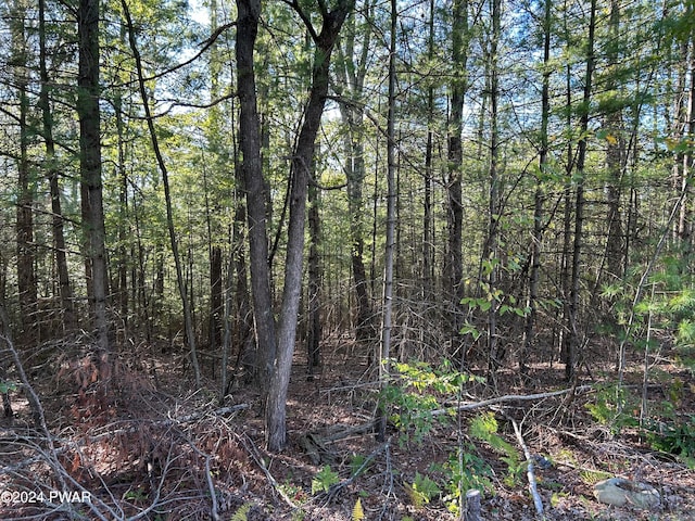 Listing photo 2 for LOT5 Delaware Crst, Dingmans Ferry PA 18328