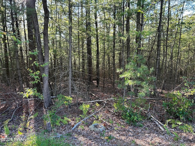 Listing photo 3 for LOT5 Delaware Crst, Dingmans Ferry PA 18328