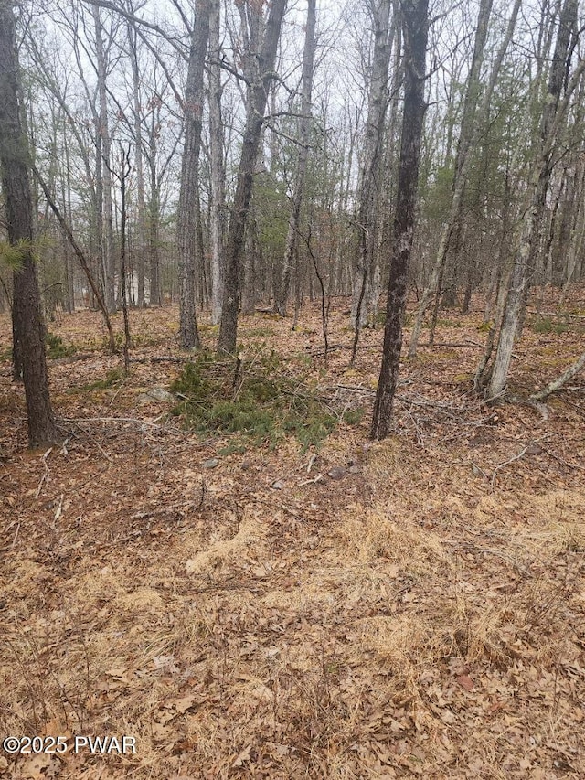 Timber Ridge Dr, Hawley, PA 18428 - photo 4