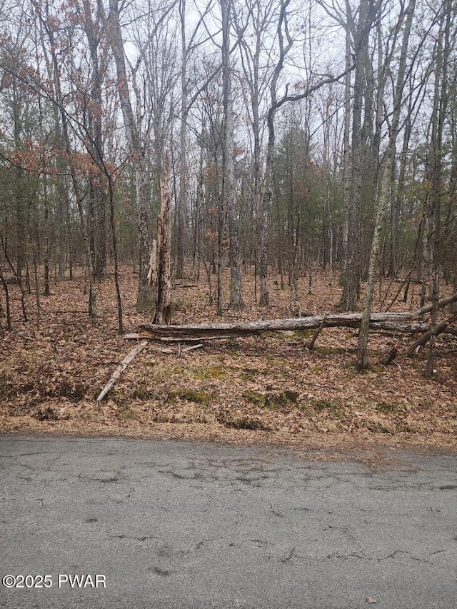 Timber Ridge Dr, Hawley, PA 18428 - photo 2
