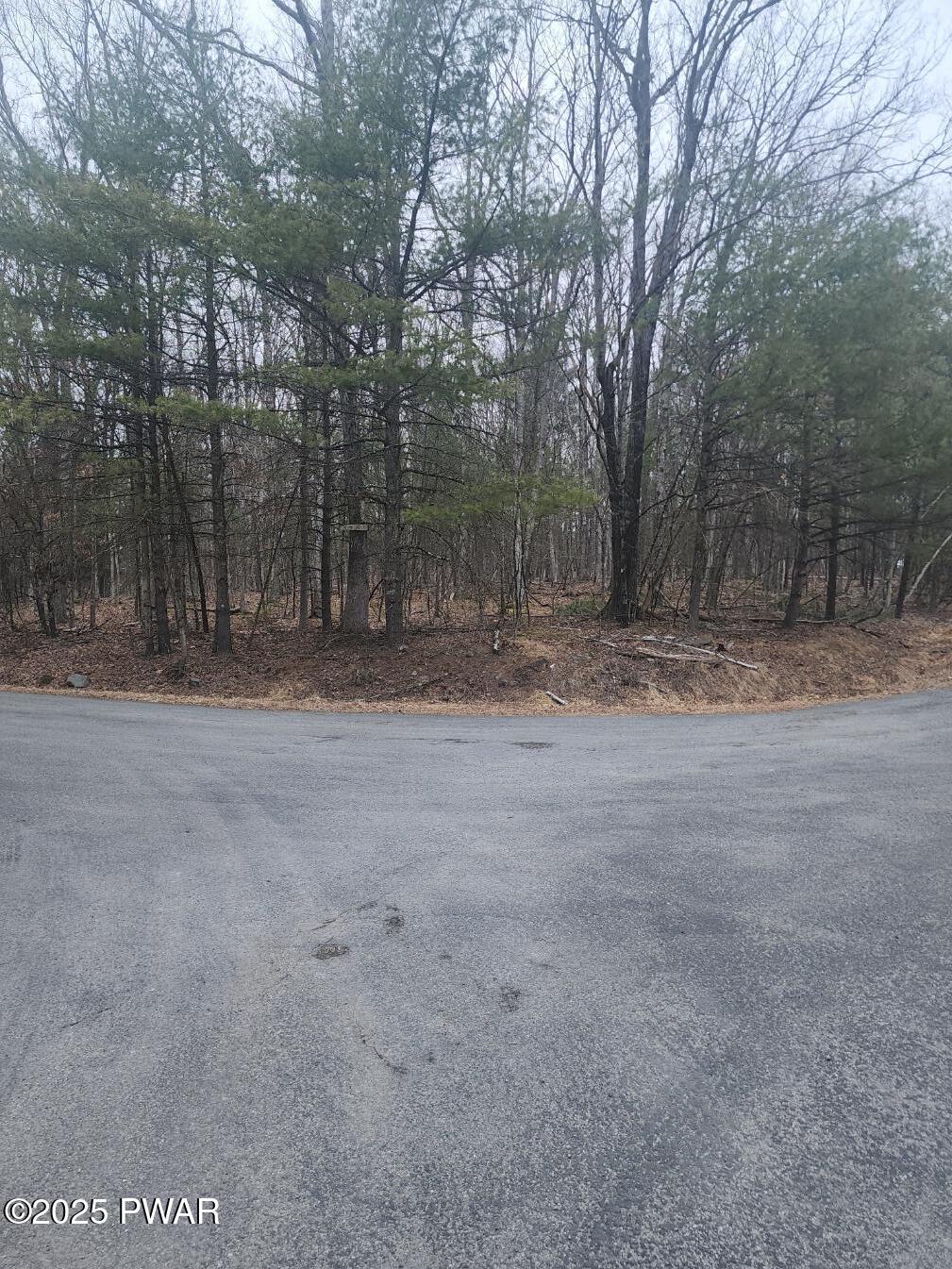Timber Ridge Dr, Hawley, PA 18428 - photo 3