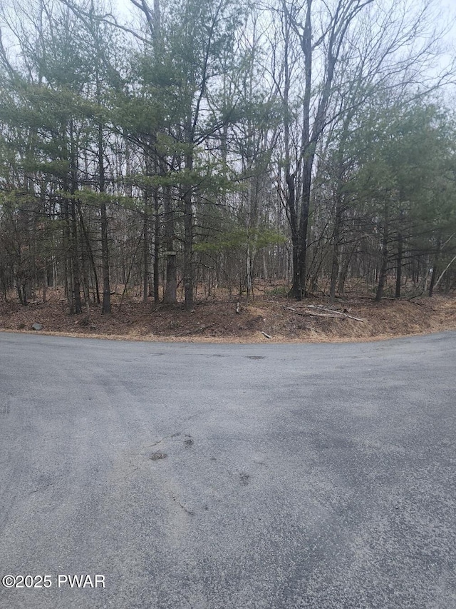 Timber Ridge Dr, Hawley, PA 18428 - photo 3