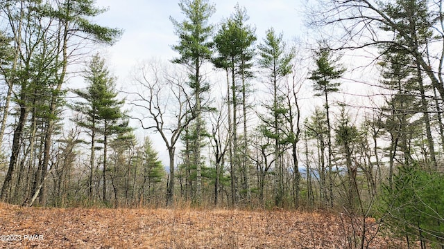 Listing photo 3 for LOT31 Valley View Ct, Milford PA 18337