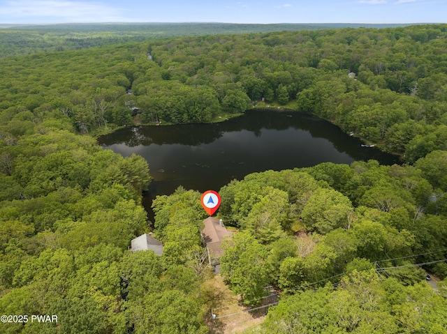 102 Circle Dr, Milford, PA 18337 - aerial view of property's location with a forest and a large body of water