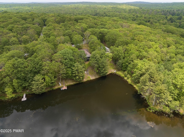 102 Circle Dr, Milford, PA 18337 - aerial overview of property's location featuring a heavily wooded area and a large body of water