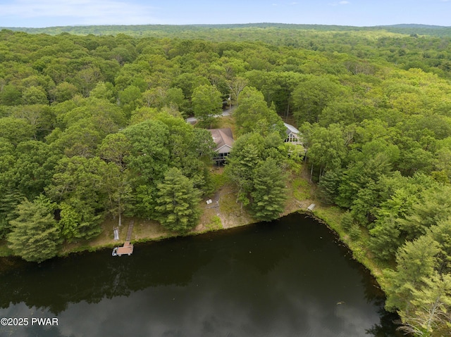 102 Circle Dr, Milford, PA 18337 - aerial overview of property's location with a heavily wooded area and a large body of water