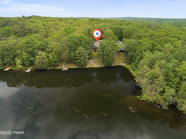 102 Circle Dr, Milford, PA 18337 - aerial view of property and surrounding area featuring a forest and a nearby body of water
