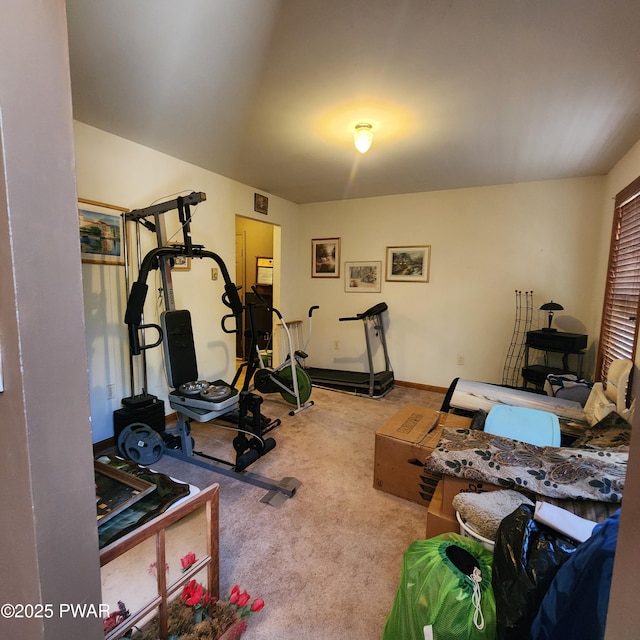 111 Ranger Rd, Greeley, PA 18425 - exercise area with carpet floors