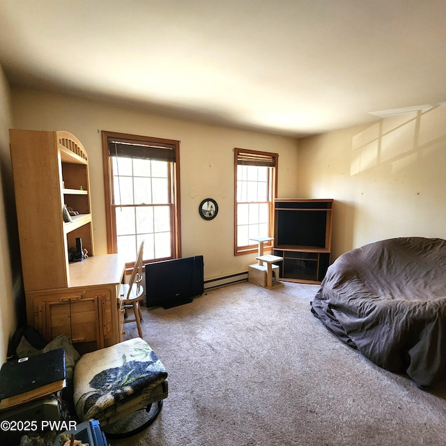 111 Ranger Rd, Greeley, PA 18425 - living area with carpet flooring and baseboard heating