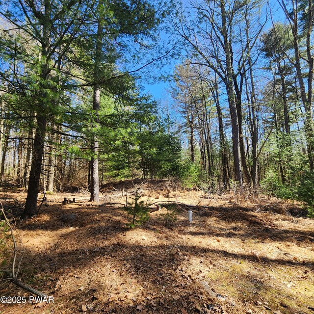 111 Ranger Rd, Greeley, PA 18425 - view of landscape with a forest view
